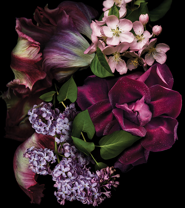 effortless modernity